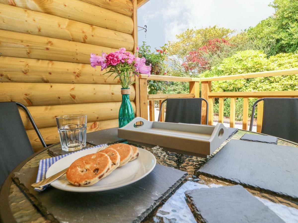 Willow Lodge Tenby Εξωτερικό φωτογραφία